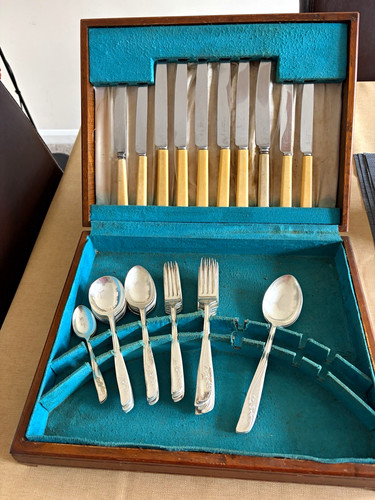 Vintage moss rose 31pc - vintage,